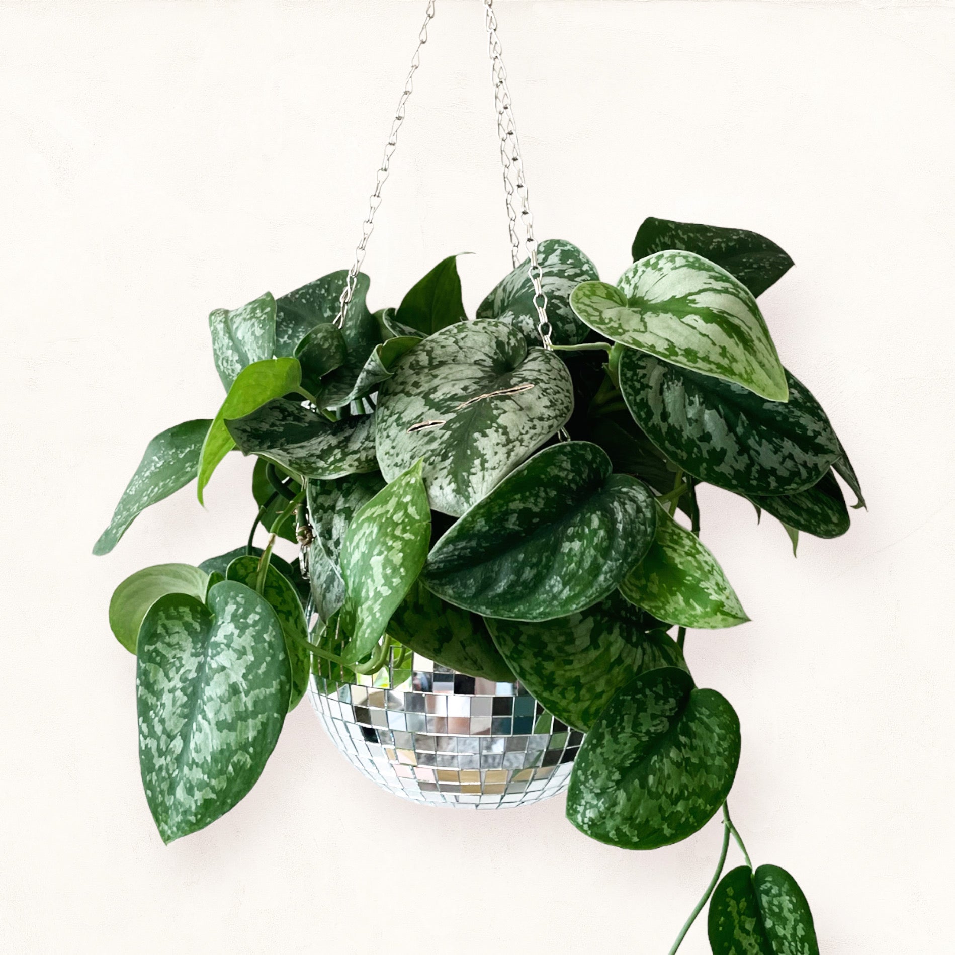 Disco Ball Planter